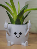 Happy Face Planter, Cheeky Middle Finger Succulent Planter - Middle Finger Plant Pot, Cute Funny Gift - Fun Home Decor - Fast Delivery! FLOWER DELIVERY