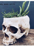 Handmade Gothic skull planter plant pot resin faux human skeleton plant holder faux plants