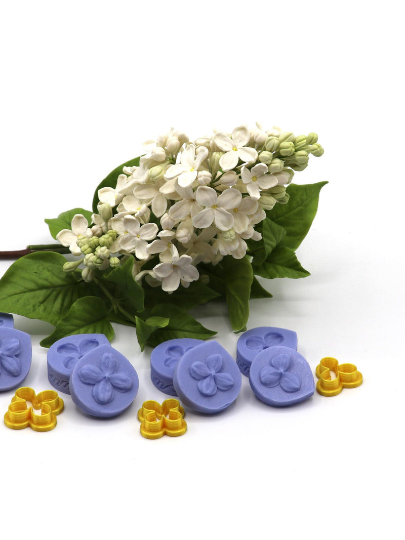 Lilac flower flower spore