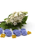 Lilac flower flower spore