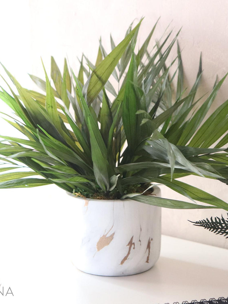 GREEN ADDICT CHICO collection Preserved natural exotic plant decoration in marbled ceramic pot a minimalist eco-responsible decoration FLOWER DELIVERY
