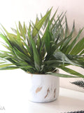 GREEN ADDICT CHICO collection Preserved natural exotic plant decoration in marbled ceramic pot a minimalist eco-responsible decoration FLOWER DELIVERY