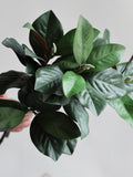 23.6" Faux Natural Touch Magnolia Leaf Branch, Spring Artificial Plant, DIY Office/Wedding/Home Decoration/Gifts for Mum, Holiday Decoration faux plants
