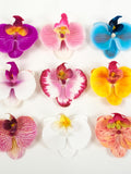 2/200Pcs Large Artificial Phalaenopsis Flower Head Bulk 3.15" Latex Artificial Flower Head For DIY Craft Hairclip Wedding Decor Fake Orchid FLOWER DELIVERY
