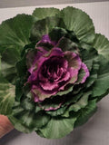 Artificial mini rose cabbage faux plants