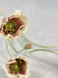 5 Heads Dusty Pink Poppy Stem -  Artificial Silk Flower / Wedding / Bouquet / Centerpiece / Arrangement /DIY / Decor /Home Design silk flower