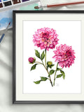 Watercolor Dahlia Flower Art Print: Botanical August Birth Flower house warming flower