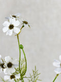 Artificial White Chrysanthemum Spray - Silk Flower / Wedding / Bouquet / Floral Arrangement / Centerpiece / Wreath / Design / Craft / Decor silk flower