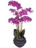 Purple Real Touch Faux Orchid Arrangement in Black Ceramic Pot faux plants