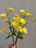 Buttercup flowers. Ranuncylus acris. Cold porcelain flowers for the interior or Home decor. Wildflowers. Real touch flower arrangement. flower spore