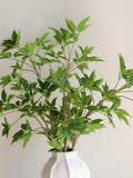 31.5Ò Real Touch Artificial Japonica Leaf Branch, Faux Spring Plant, DIY Wedding/Home/Kitchen Table Decorations, Holiday Gifts for Her faux plants