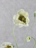 5 Heads Cream Poppy Stem -  Artificial Silk Flower / Wedding / Bouquet / Centerpiece / Arrangement /DIY / Gift for her / Decor /Home Design silk flower
