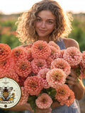 Benary's Giant Salmon Rose Zinnia Seeds, Largest Giant Zinnias, Zinnia Elegans ZE3725 flower seeds