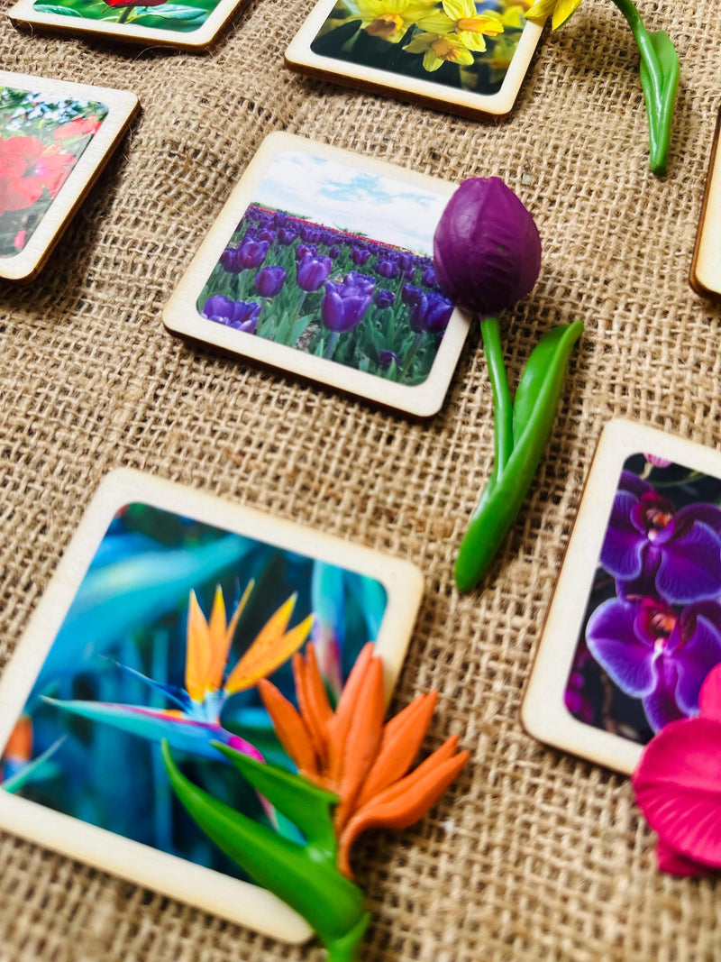 Miniature Flower Montessori Learning Toys with Wooden Cards birthday flower