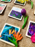Miniature Flower Montessori Learning Toys with Wooden Cards birthday flower