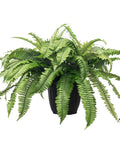 Potted Garden Fern Double. Artificial fern, realistic fern, home decor, artificial plant faux plants