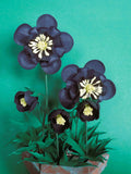 Hellebore Black - Paper Flowers - Templates - Instant Download - Video Tutorial - SVG - Cricut - Silhouette - S&C - DIY - Paper Crafts flower spore