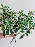 Faux Schefflera Actinophylla, Artificial Spring Leaf Branch, Fake Plant Stem in Minimalist Style, Office/Wedding/Home Craft Decoration Gifts faux plants