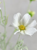 Faux White Cosmos Flower Stem -  Silk Floral / Wedding / Bridal Bouquet / DIY / Home Decor / Arrangement / Centerpiece / Craft / Gift to her faux plants