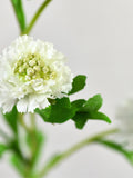 Faux White Scabiosa Flower Stem - Artificial Floral / Wedding / Bridal Bouquet / Interior Design / Gifts to Her / Arrangement / Centerpiece silk flower