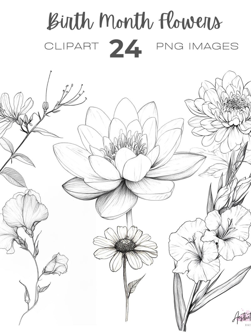 Line Drawing Birth Month Flowers clipart bundle, Birthday, Personalized Flower clipart, Birth Month clipart birthday flower