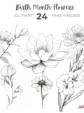 Line Drawing Birth Month Flowers clipart bundle, Birthday, Personalized Flower clipart, Birth Month clipart birthday flower