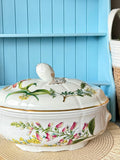 RARE Vintage Spode 