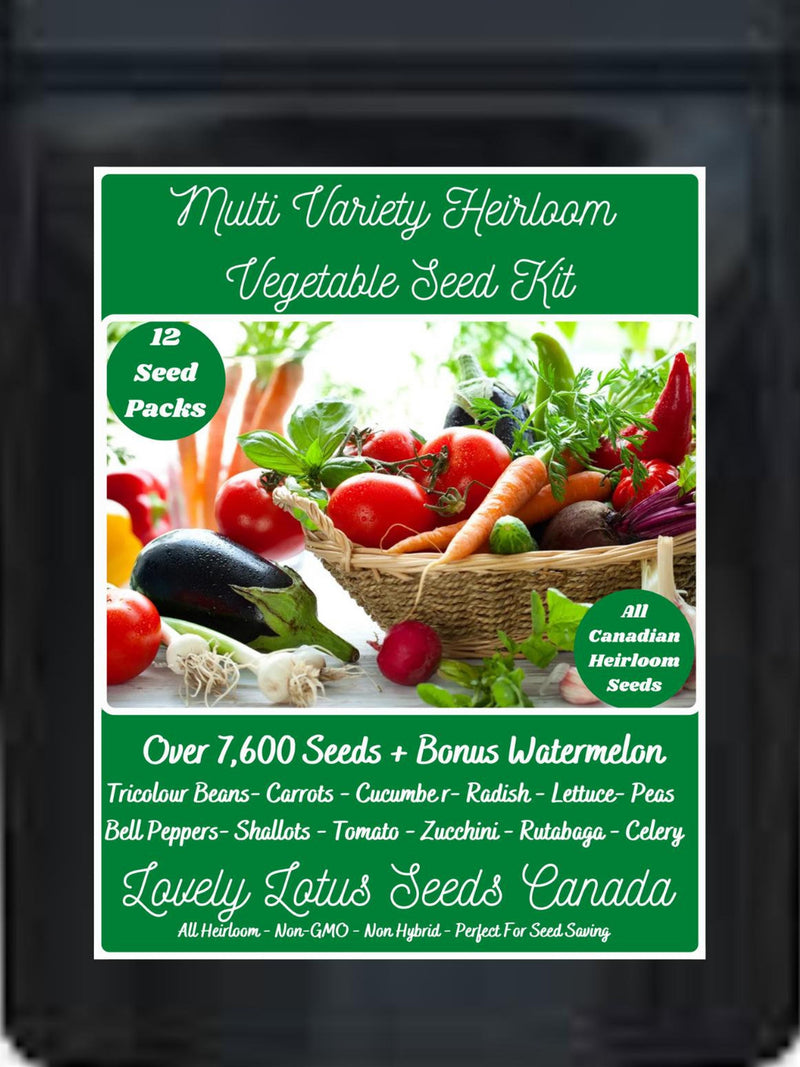 Vegetable Seed Kit 12 Packs 25+ Varieties 7,600+ Seeds Bonus Crimson Watermelon Beans-Tomato-Peppers-Cucumber-Radish-Lettuce-Peas & More seeds bulk
