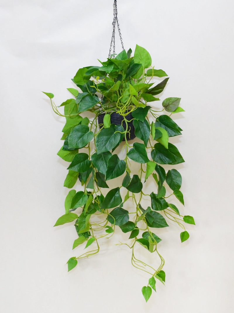 Artificial Pothos Wall Decor, Fake Epipremnum Aureum Hanging Wall with Pot, Artificial Flower Vine, Wedding Arrangement, Home Floral Decor faux plants