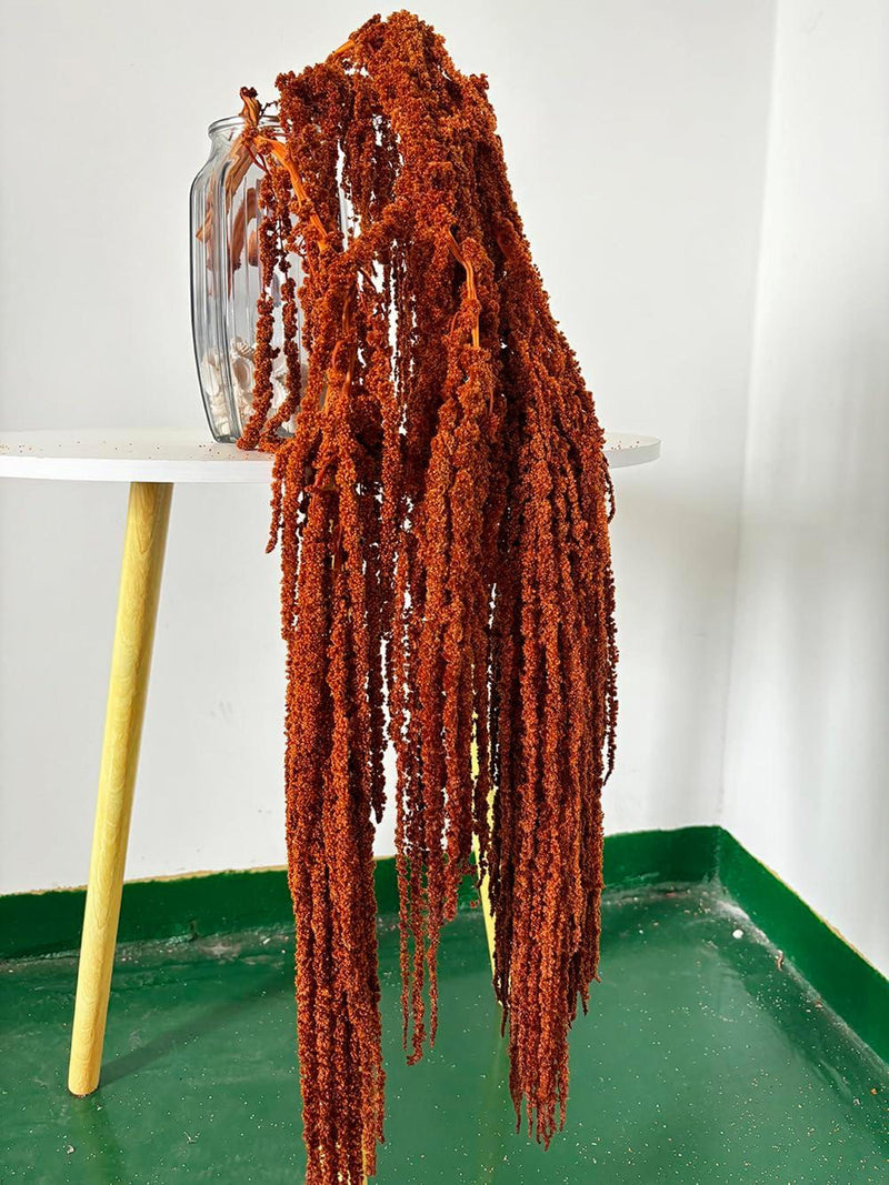 5 pcs green Hanging Amaranthus flower, preserved Amaranthus bunch,dried flower art,hanging flower decor, wedding arch decor,background decor wedding flower