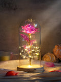 Personalized Rose LED Light ,Custom Gift For Mom,Galaxy Rose Light,Mother's Day Gift ,Valentine's Day Gift,Eternal Rose,Couple Gift for Her ANNIVERSARY