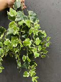 Artificial English Ivy Wall Hanging: Faux Green Leaves, 26" Long faux plants