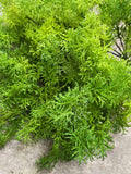 14" Faux moss bush | Artificial Plant | Greenery | DIY Floral | Wall/Home Wedding Decoration faux plants