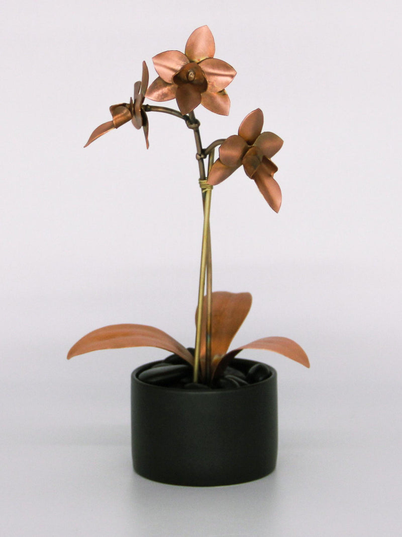 Metal Orchid #2 Copper Flower ANNIVERSARY