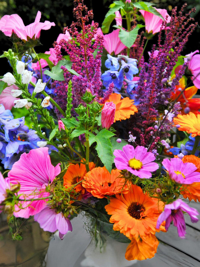 Heirloom Wildflower Butterfly Mix Bulk Seeds | Perennial & Annual Cut Flowers flower seeds