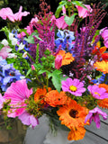 Heirloom Wildflower Butterfly Mix Bulk Seeds | Perennial & Annual Cut Flowers flower seeds
