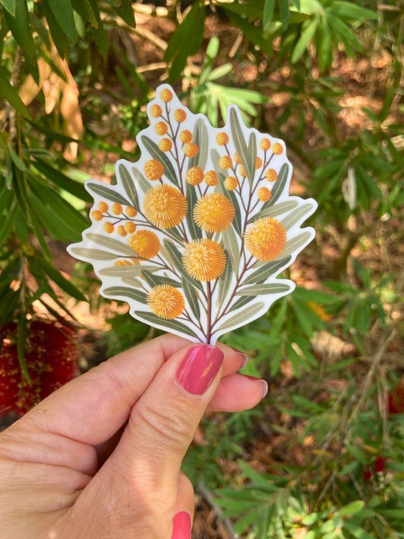 Golden Wattle Flower Sticker Ð Australian Native Flora Decal FLOWER DELIVERY