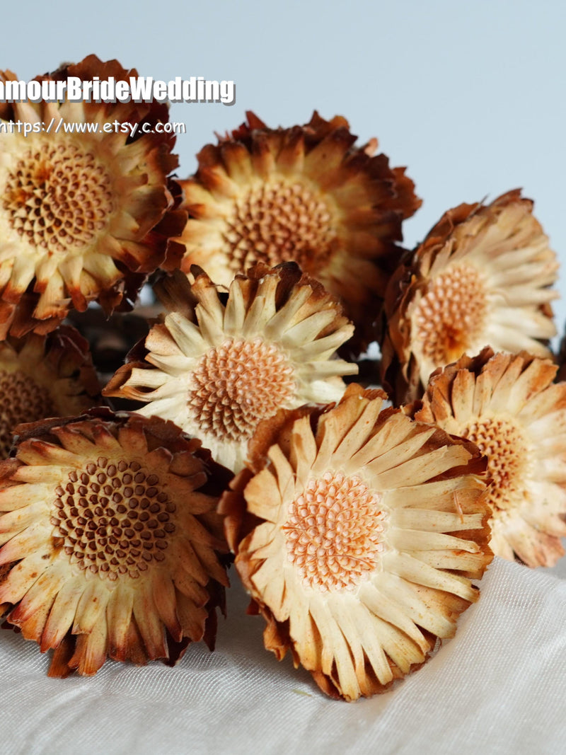 Dried Flowers,Sun flower,flower arrangement,home decoration,wedding bouquet,Wedding,dried flowers,House Warming Gift,wedding decoration house warming flower