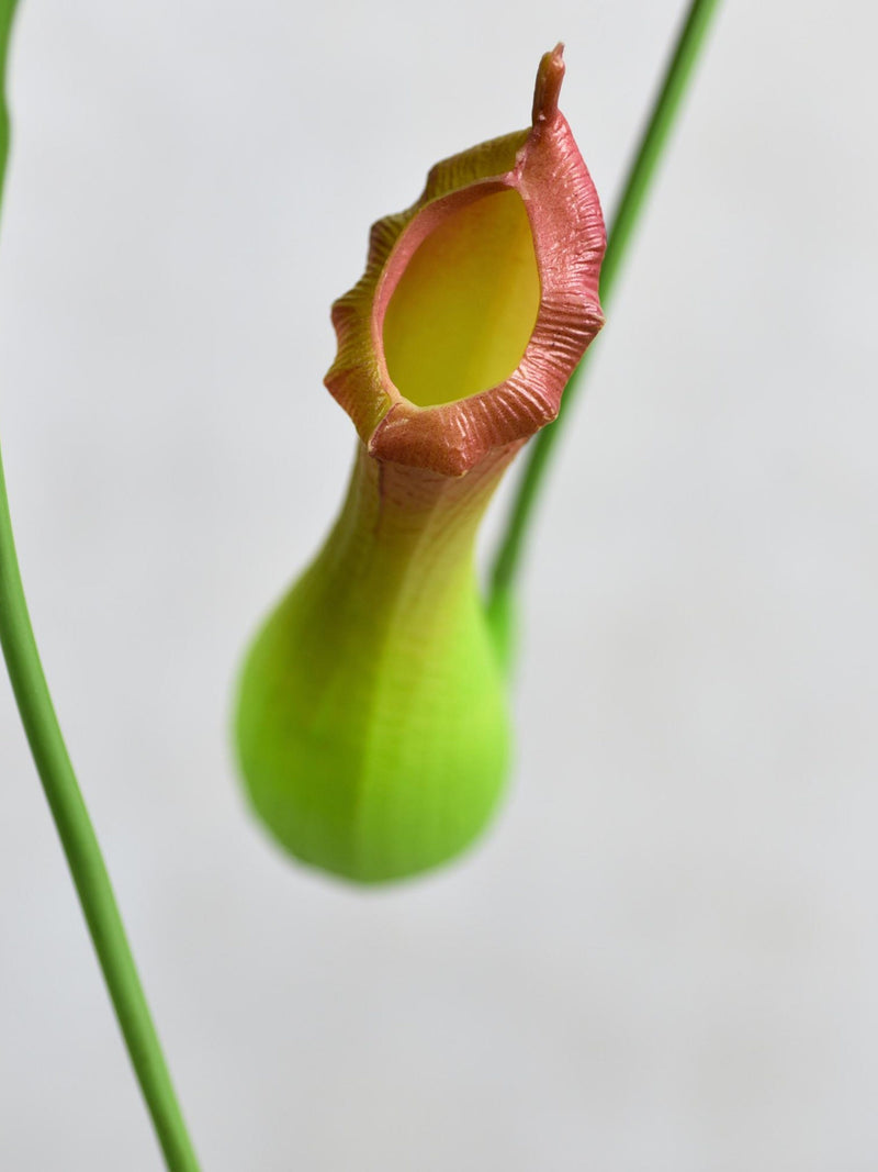 Artificial Green Nepenthes Pitcher Plant - Realistic Faux Plant for Home Decor / Indoor Outdoor Decoration / Living Room / Garden / Office faux plants