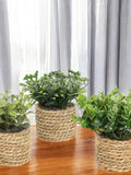 Mini Realistic Faux Potted Plant Ð Ultra-Lifelike Mini Succulent Decor Ð Tiny Faux Plant for Shelf, Desk, Aesthetic Home & Office Greenery faux plants