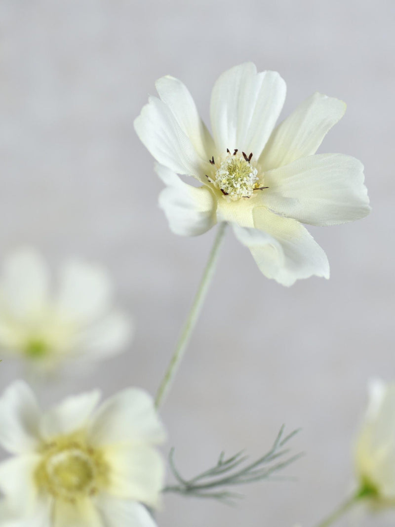 Faux Silk Cream White Cosmos Stem - High Quality Artificial Flower / Wedding / Bouquet / Arrangement / Centerpiece / Home Decor / Gift / DIY FLOWER DELIVERY