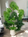 Faux Palm Plant: Tropical Green Plastic Home Decor (55-105 cm) faux plants