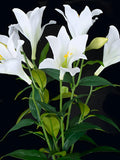 24" Easter Lily Bush, Faux Lilies, Easter Flowers, Spring Flowers, Spring Stems, Silk Flowers, Vase Filler silk flower