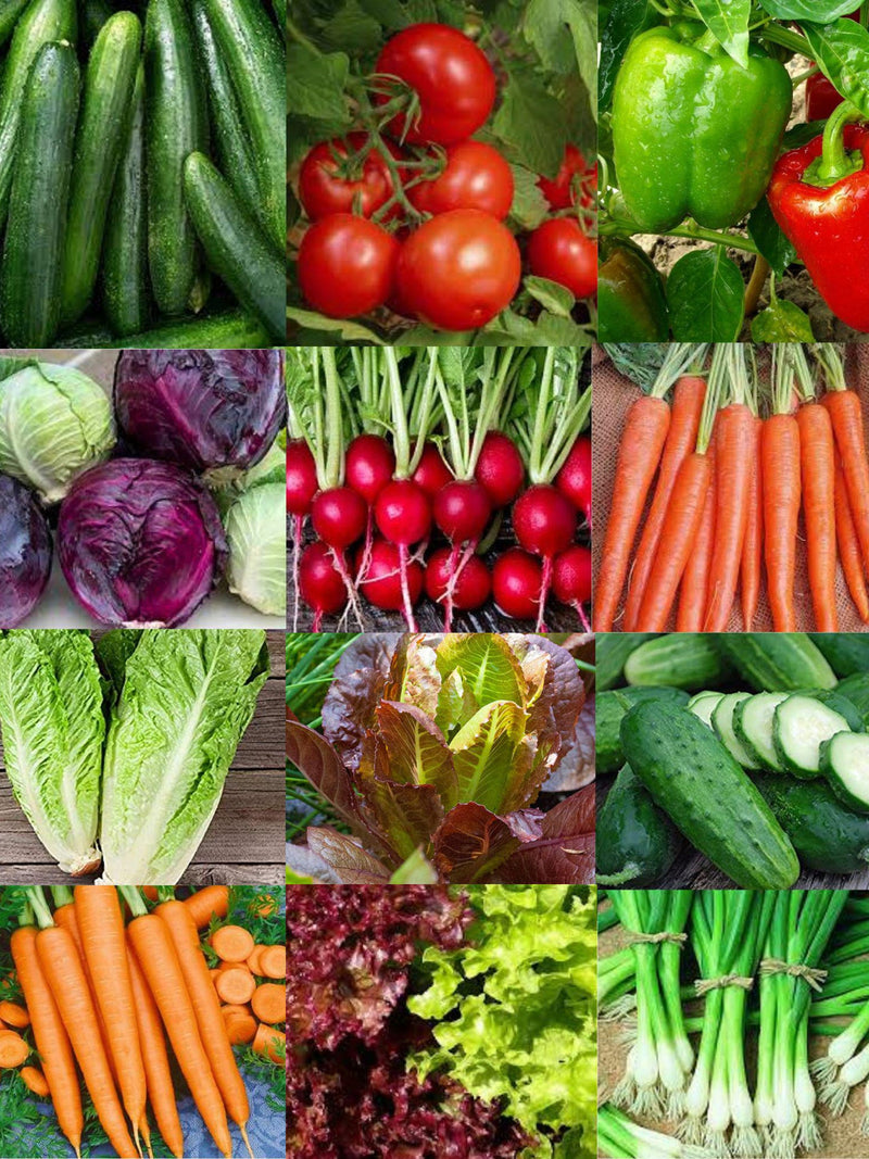 Vegetable Seed Kit  3500+ Seeds -12 Pack All Canadian Heirloom Vegetable Seed Collection, 14 Varieties flower seeds