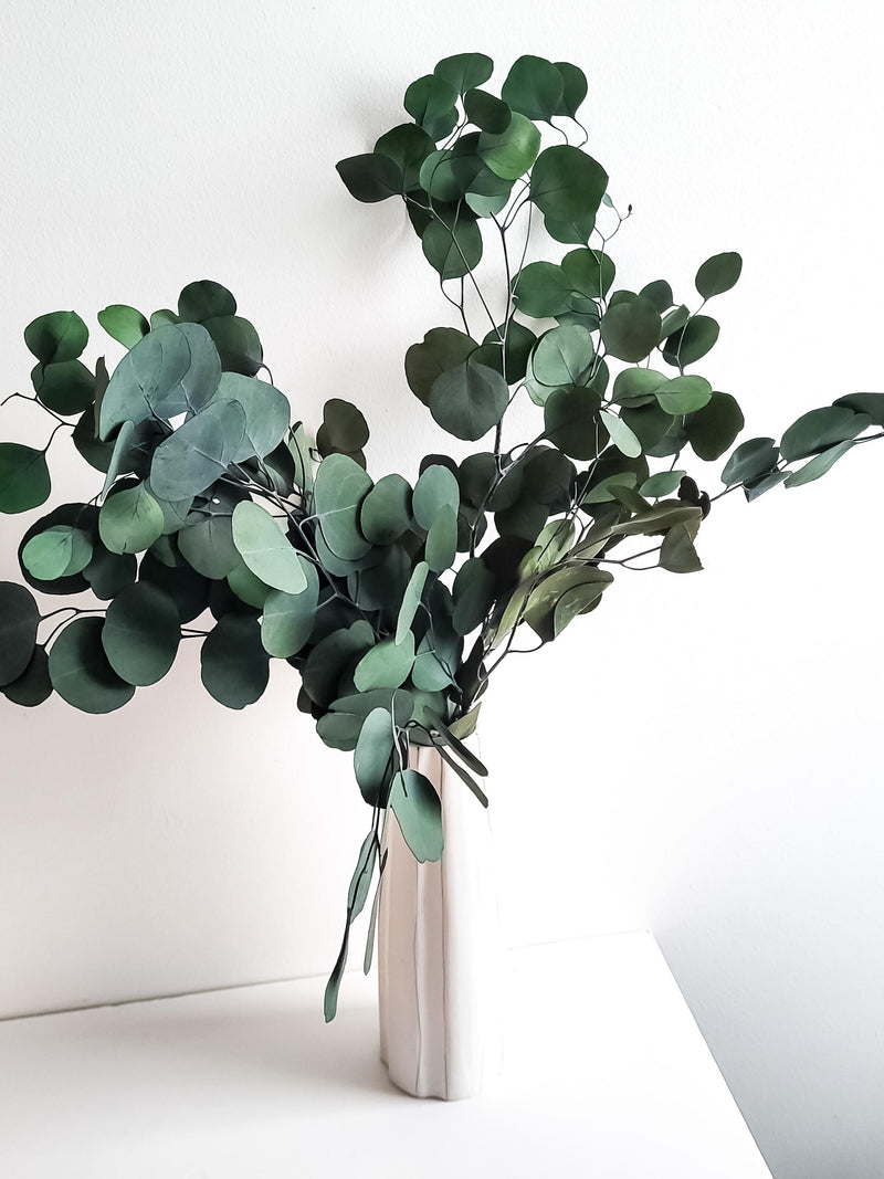 Preserved Eucalyptus,Silver dollar eucalyptus, Dried Flowers, Green eucalyptus, Flowers for Home, Eucalyptus bunch, DIY arrangement FLOWER DELIVERY