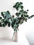 Preserved Eucalyptus,Silver dollar eucalyptus, Dried Flowers, Green eucalyptus, Flowers for Home, Eucalyptus bunch, DIY arrangement FLOWER DELIVERY