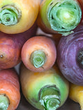 Heirloom Rainbow Blend Carrot Seeds - Organic, Non-GMO seeds bulk