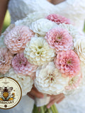 Blushing Bride Zinnia Seeds Mix, Pink and White, Zinnia Elegans ZE421C flower seeds