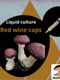 Organic Red wine caps Mushroom Liquid Culture for Grain Spawn Inoculation- Grow mushrooms indoors flower spore