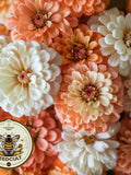 Peaches and Cream Zinnia Seeds Mix, SeedCult Exclusive, Salmon, Peach and White, Zinnia Elegans ZE431C seeds bulk